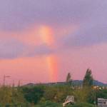 Son Seung Wan (WENDY)