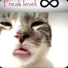 Comment image