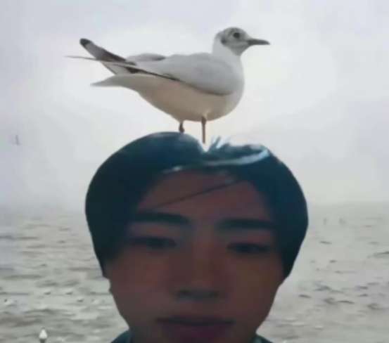 Comment image