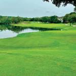 Austin Golf Community Real Estate Agent