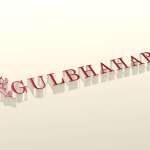 gulbhahar005