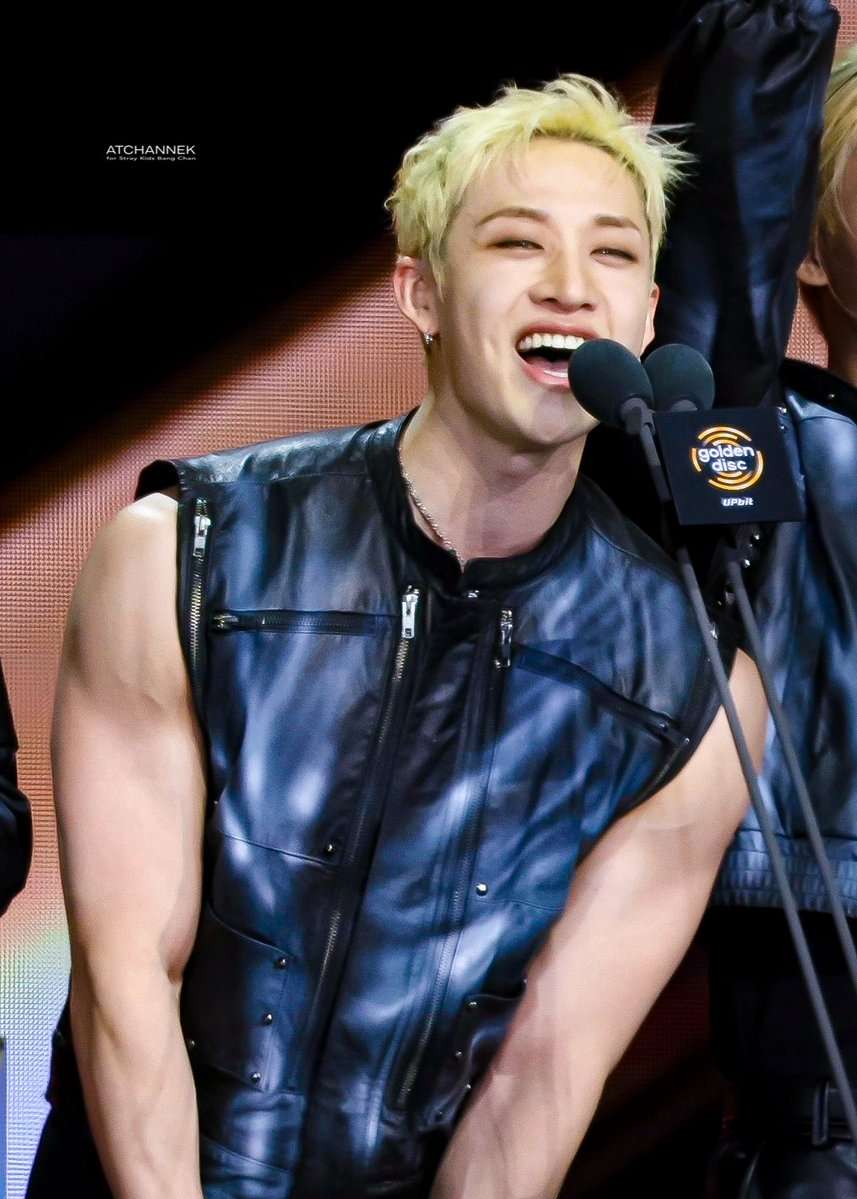 onlyBchangoonstobangchansdivineperformance andscreamswhenhetookhisshirtoff